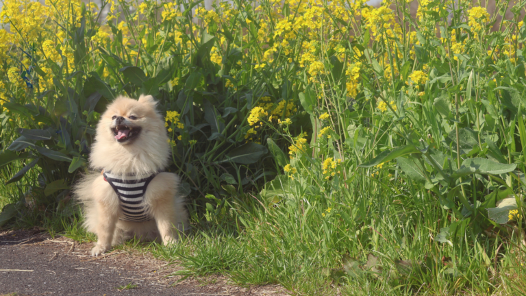 Spring Refresh Without a Rebrand: Updating Your Visuals the Smart Way
