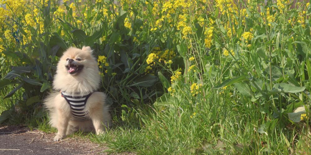 Spring Refresh Without a Rebrand: Updating Your Visuals the Smart Way
