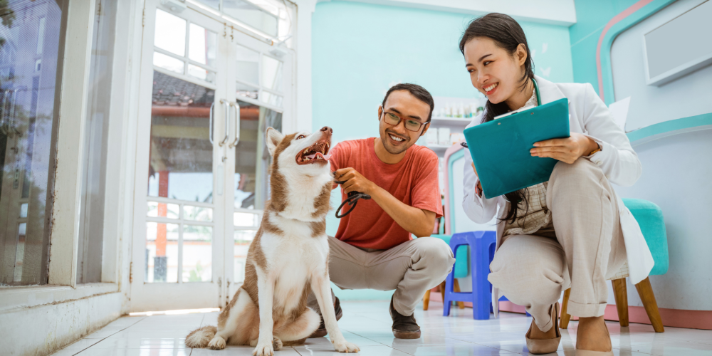 The Power of Storytelling in Pet Service Marketing