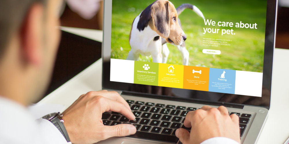 What Makes a Dog Business Look Professional Online
