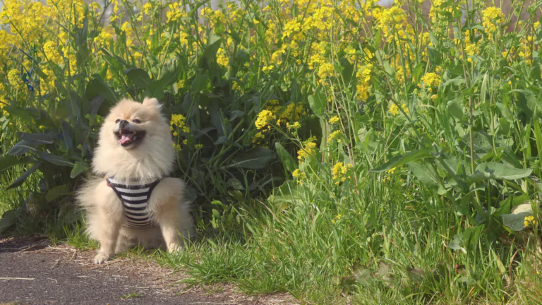 Spring Refresh Without a Rebrand: Updating Your Visuals the Smart Way