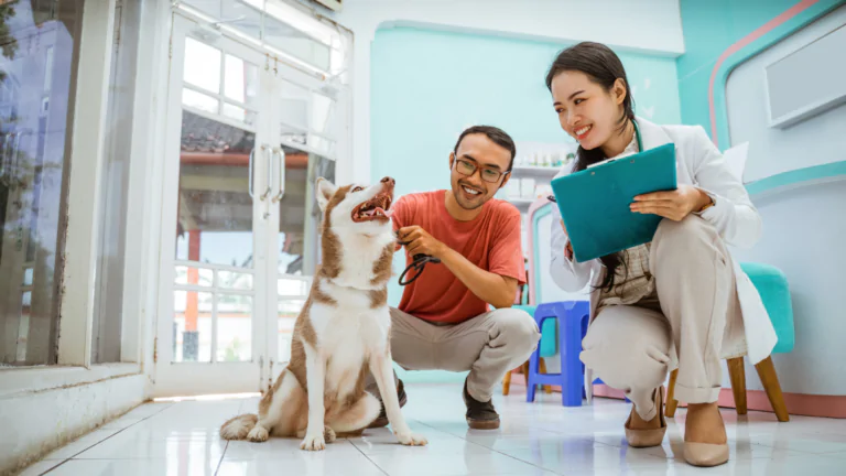 The Power of Storytelling in Pet Service Marketing